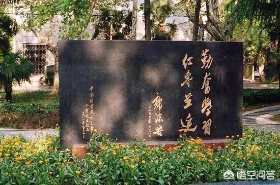 武汉大学在中国大学里能排第三吗？