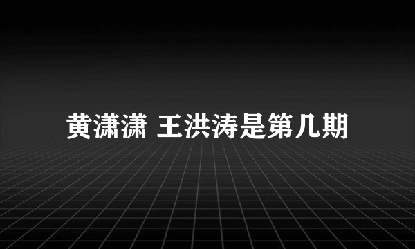 黄潇潇 王洪涛是第几期