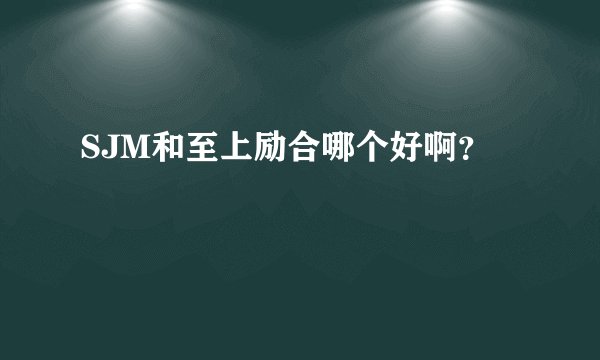 SJM和至上励合哪个好啊？