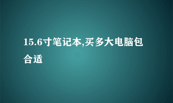 15.6寸笔记本,买多大电脑包合适