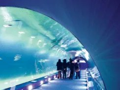 抚顺十大旅游景点大全