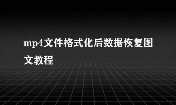 mp4文件格式化后数据恢复图文教程