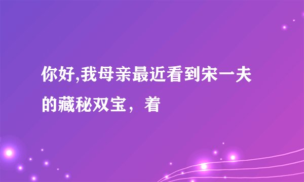 你好,我母亲最近看到宋一夫的藏秘双宝，着