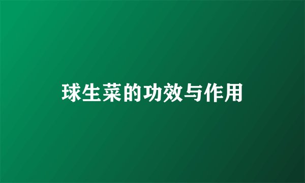 球生菜的功效与作用