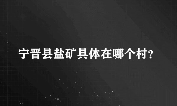 宁晋县盐矿具体在哪个村？