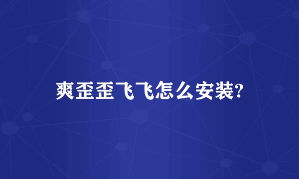 爽歪歪飞飞怎么安装?