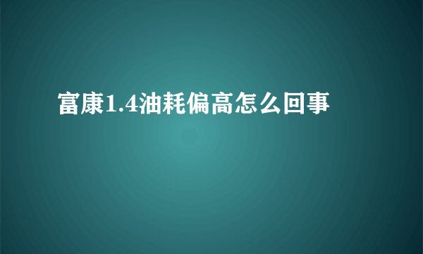 富康1.4油耗偏高怎么回事