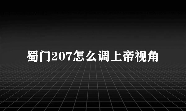 蜀门207怎么调上帝视角