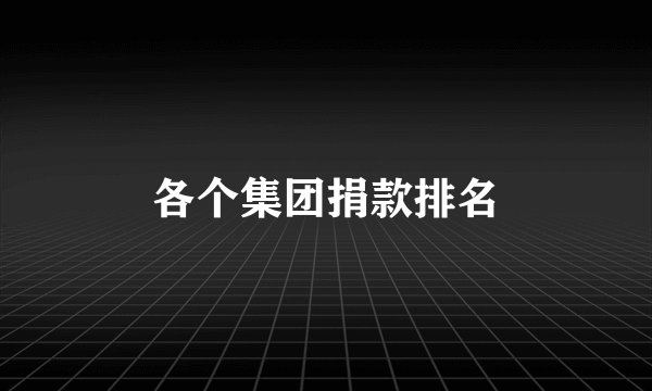 各个集团捐款排名