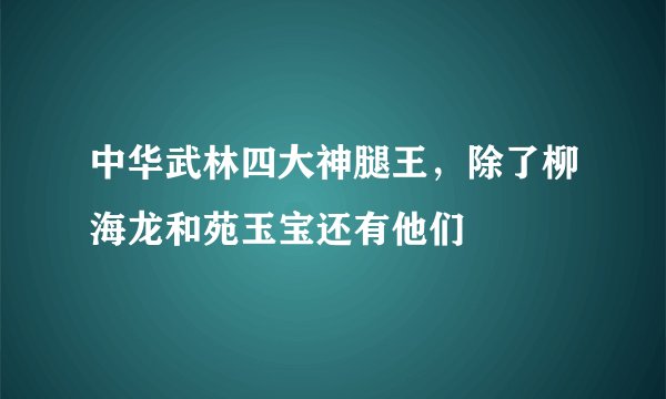 中华武林四大神腿王,除了柳海龙和苑玉宝还有他们