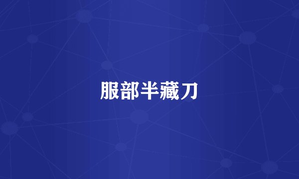 服部半藏刀