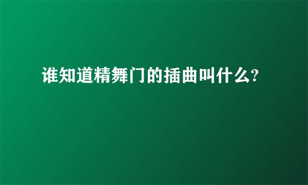 谁知道精舞门的插曲叫什么?