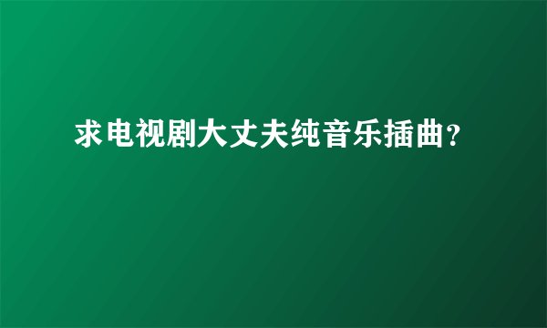 求电视剧大丈夫纯音乐插曲？