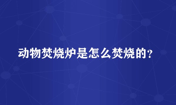 动物焚烧炉是怎么焚烧的？