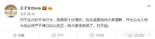 王子文高铁踩桌板是否应该被谴责?