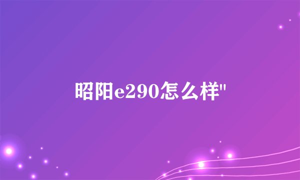 昭阳e290怎么样