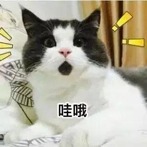 如何看待《变形计之平行世界》？