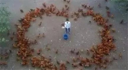 如果你的追求者拿着花圈向你表白,你会怎么做?