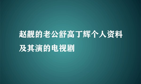 赵靓的老公舒高丁辉个人资料及其演的电视剧