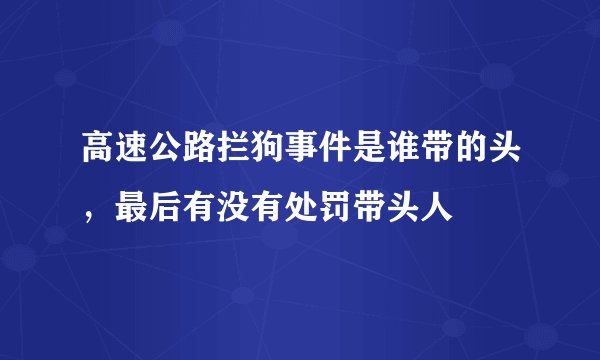 高速公路拦狗事件是谁带的头,最后有没有处罚带头人