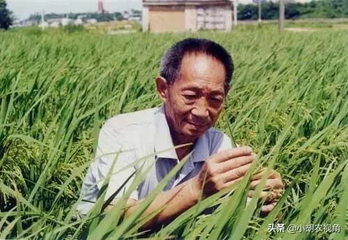 受疫情影响,已有国家禁止出口粮食,你怎么看?