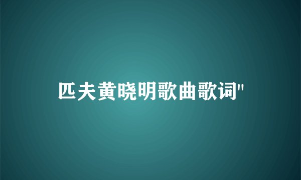 匹夫黄晓明歌曲歌词