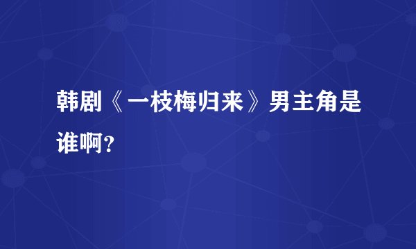 韩剧《一枝梅归来》男主角是谁啊？