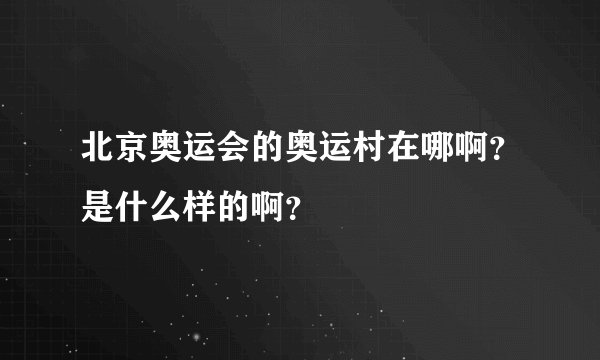 北京奥运会的奥运村在哪啊？是什么样的啊？