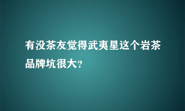 有没茶友觉得武夷星这个岩茶品牌坑很大？
