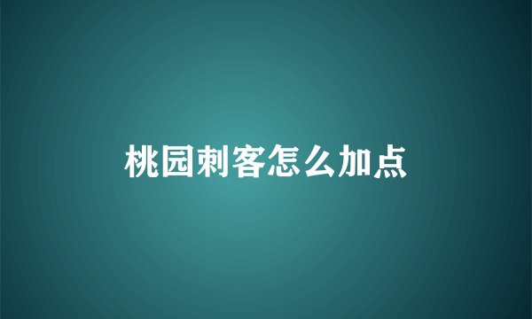 桃园刺客怎么加点