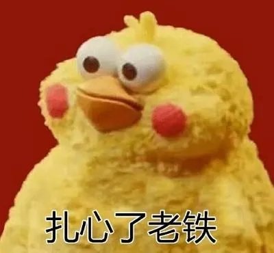 伪造介绍信进清华进入成功了吗?