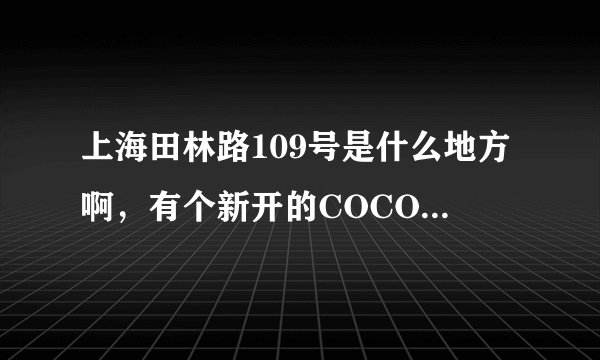 上海田林路109号是什么地方啊,有个新开的COCO酒吧吗?
