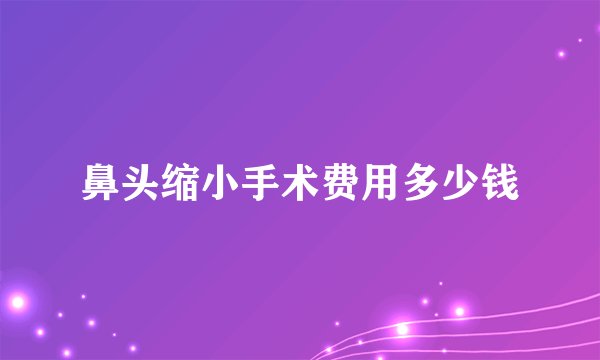 鼻头缩小手术费用多少钱