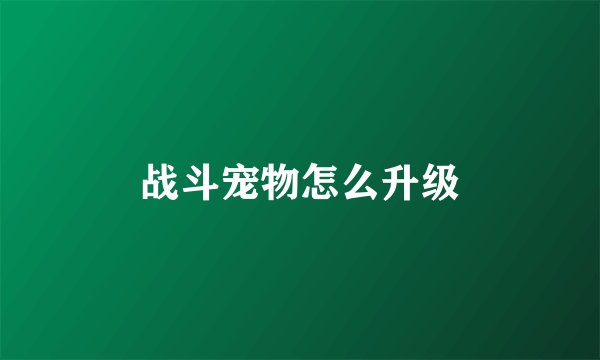 战斗宠物怎么升级