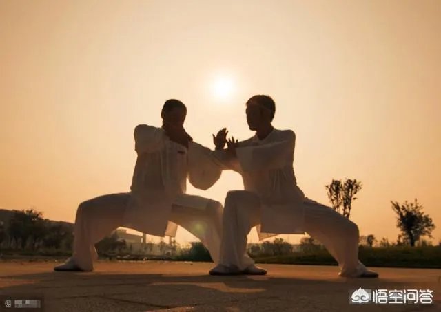 如何评价太极推手?