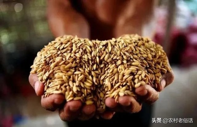 受疫情影响,已有国家禁止出口粮食,你怎么看?