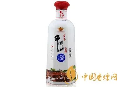 玛咖啤酒多少?给你详细解析!