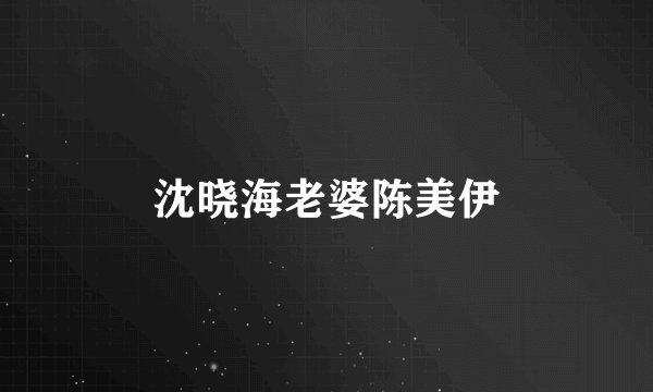 沈晓海老婆陈美伊