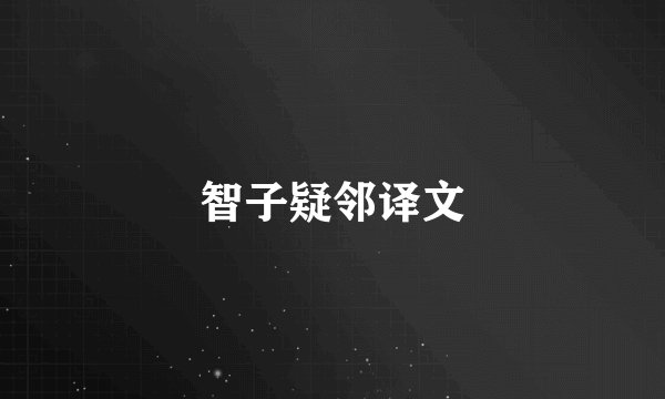 智子疑邻译文