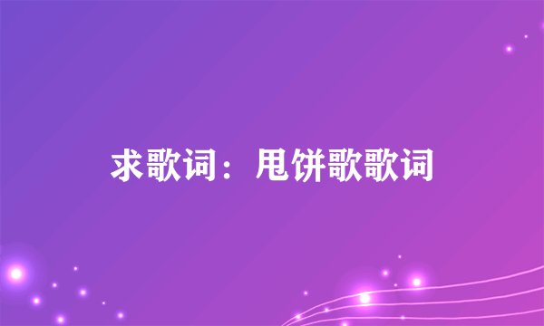 求歌词：甩饼歌歌词