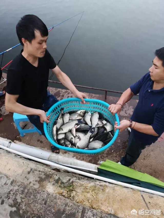 哪里有比较幽静的钓鱼的地方?