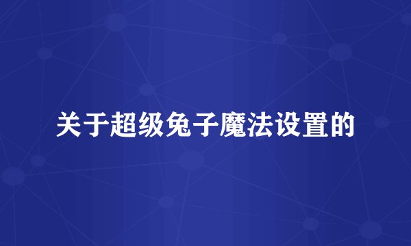 关于超级兔子魔法设置的