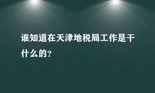 谁知道在天津地税局工作是干什么的？