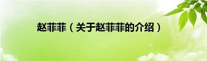 赵菲菲（关于赵菲菲的介绍）