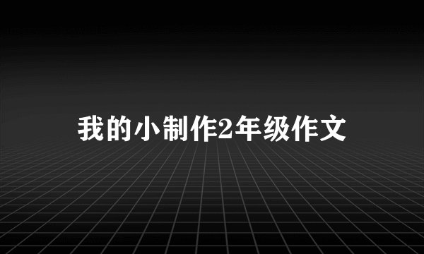 我的小制作2年级作文