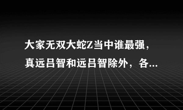 大家无双大蛇Z当中谁最强，真远吕智和远吕智除外，各方面分析。