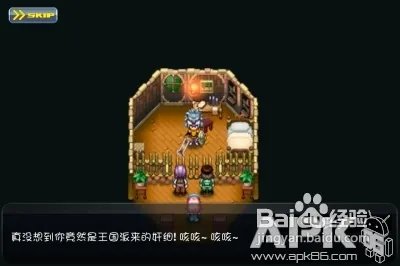 seed3中文攻略