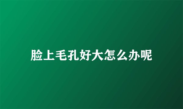 脸上毛孔好大怎么办呢