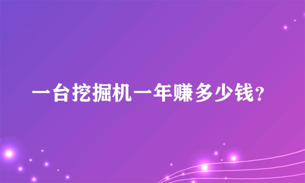 一台挖掘机一年赚多少钱？