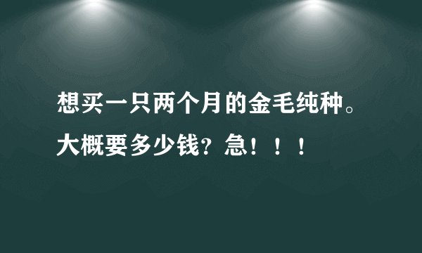 想买一只两个月的金毛纯种。大概要多少钱？急！！！